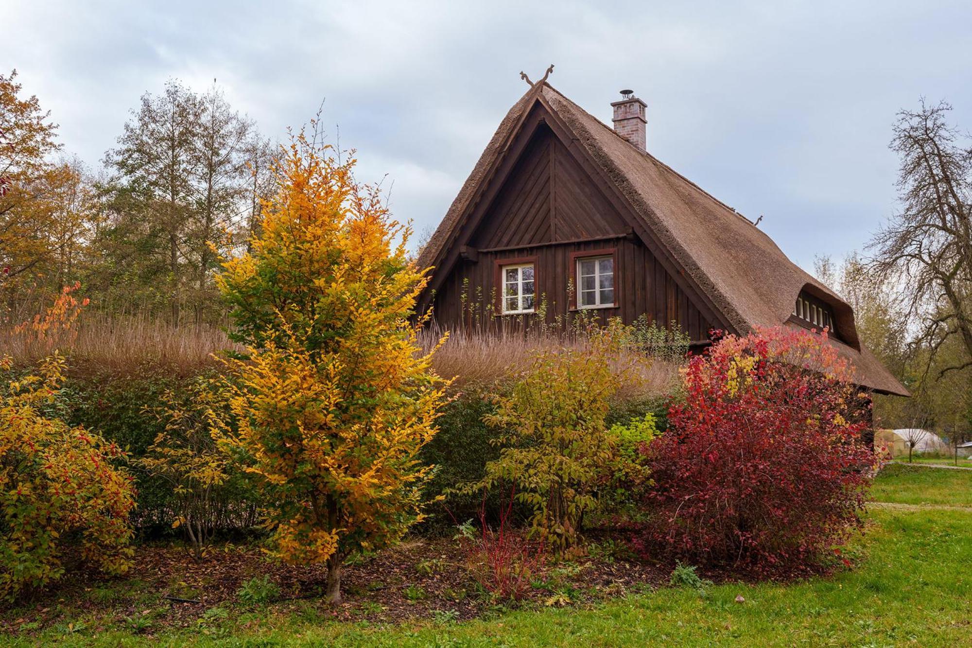 Exklusives Holzhaus Villa Burg  Dış mekan fotoğraf